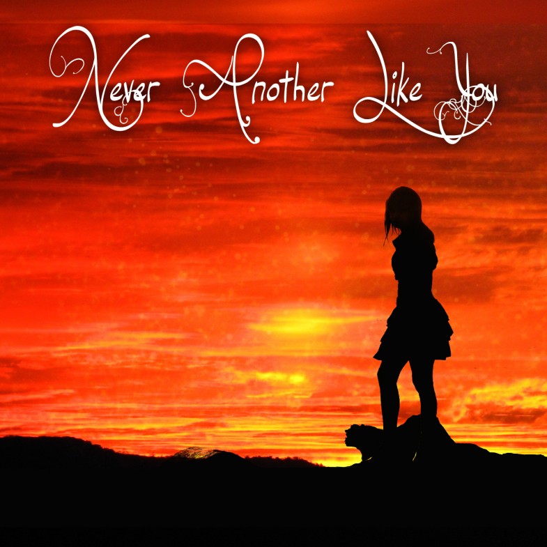 Never Another Like You