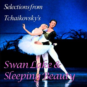 Swan Lake Sleeping Beauty