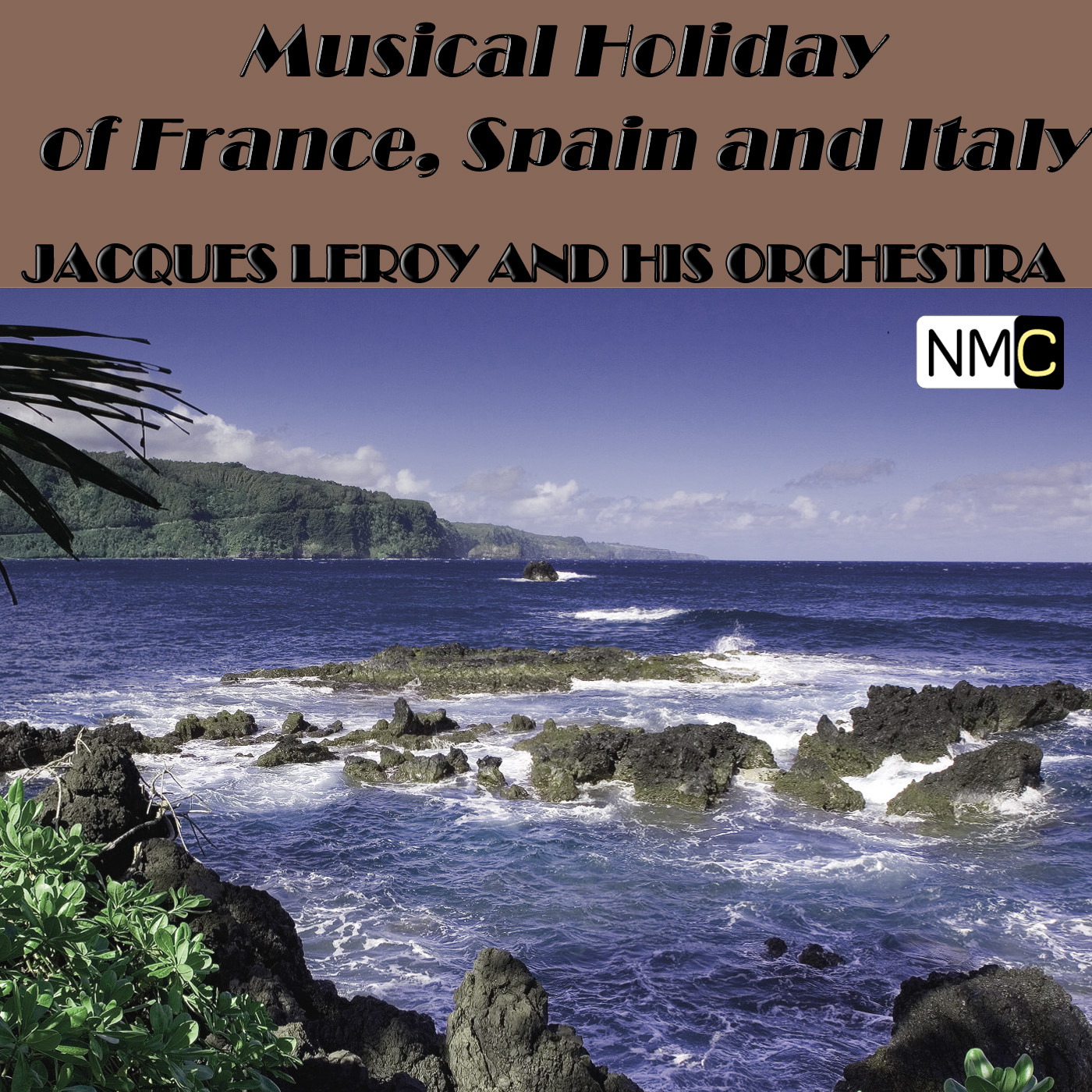 insert artwork description